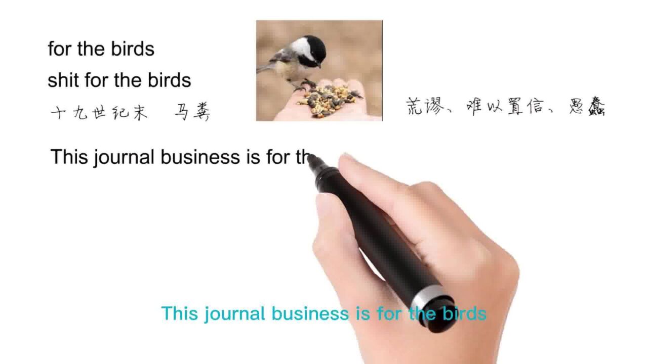 英语思维解密,为什么for the birds指毫无意义,轻松学英语