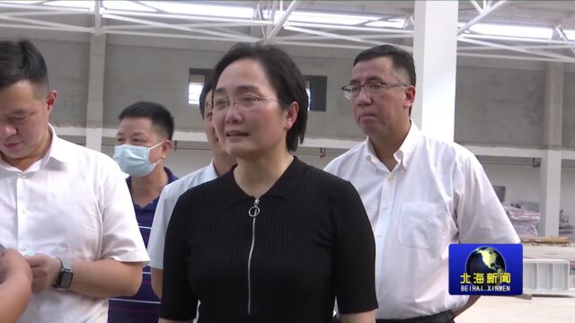 李莉到北海铁山东港产业园调研督导项目建设情况时强调:坚持“项目为王”,全力以赴推动合浦工业实现新突破