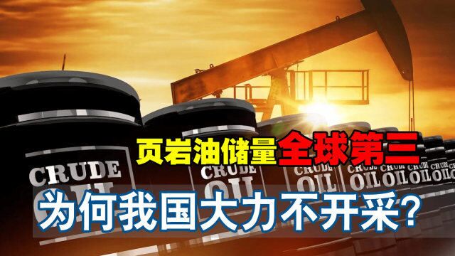 中国页岩油储量不输美国,或将破解石油困局,为何不大力开采?