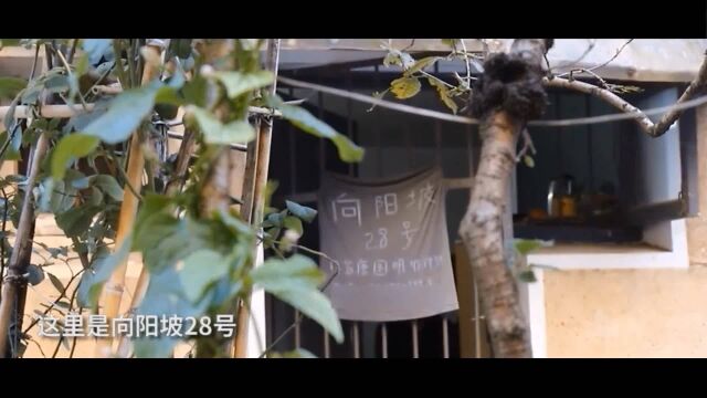 与世隔绝,8平米租房内的开创者——著名作家唐国明