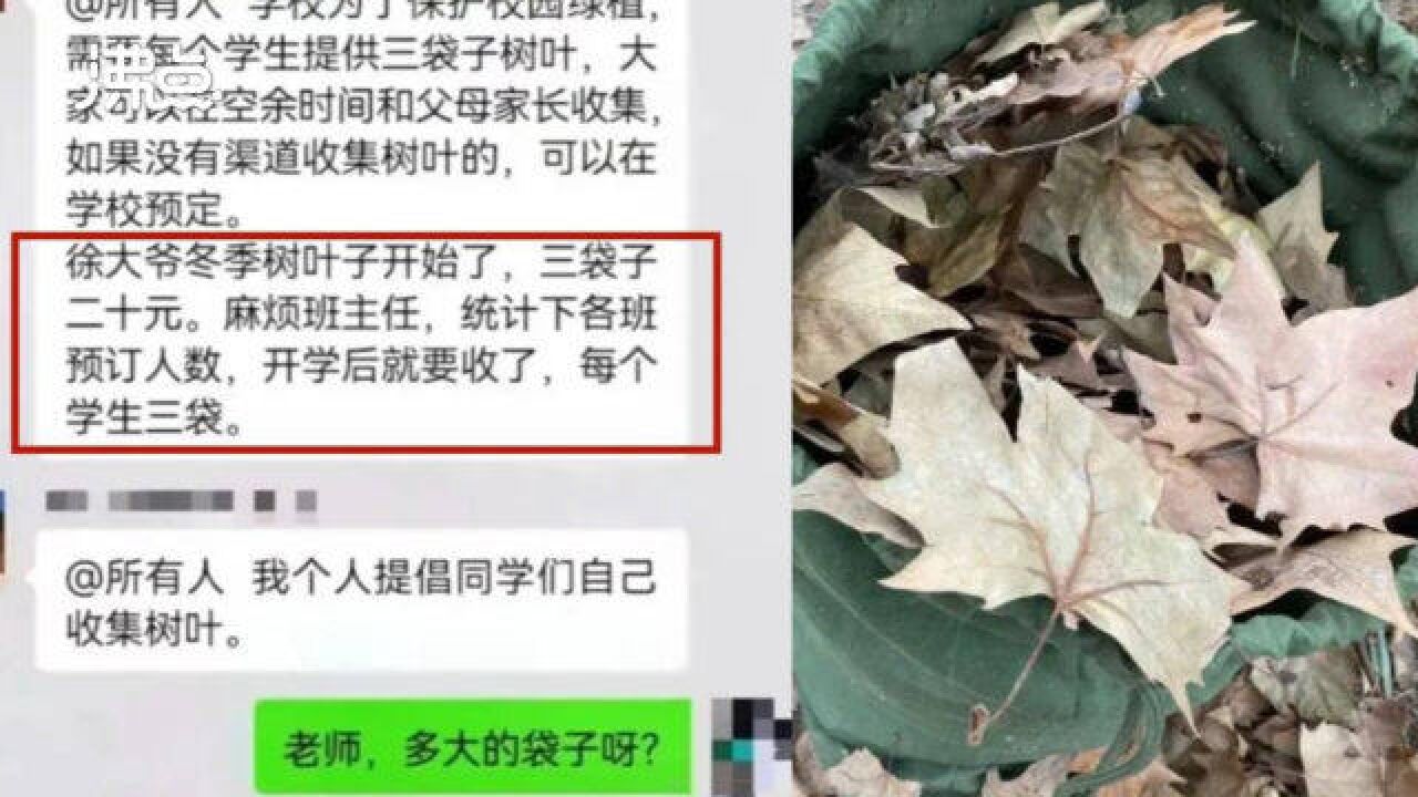 教育局通报中学收20元树叶费:涉事干事停职 门卫解聘