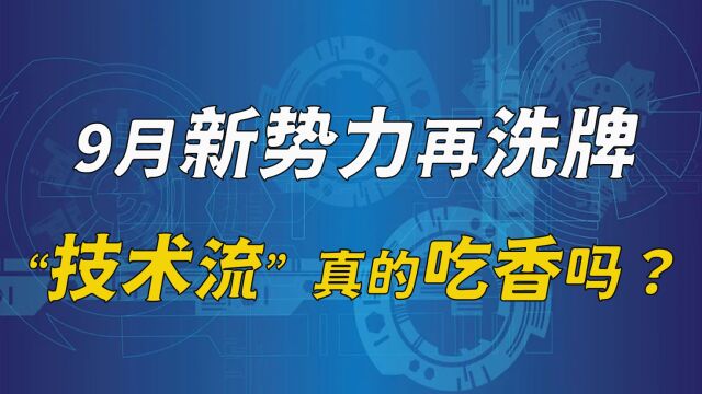 9月新势力再洗牌 “技术流”真的吃香吗?