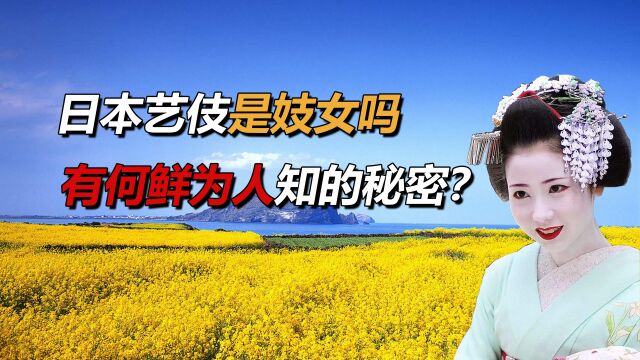 日本艺伎是妓女吗?令男人神魂颠倒,有什么鲜为人知的秘密?