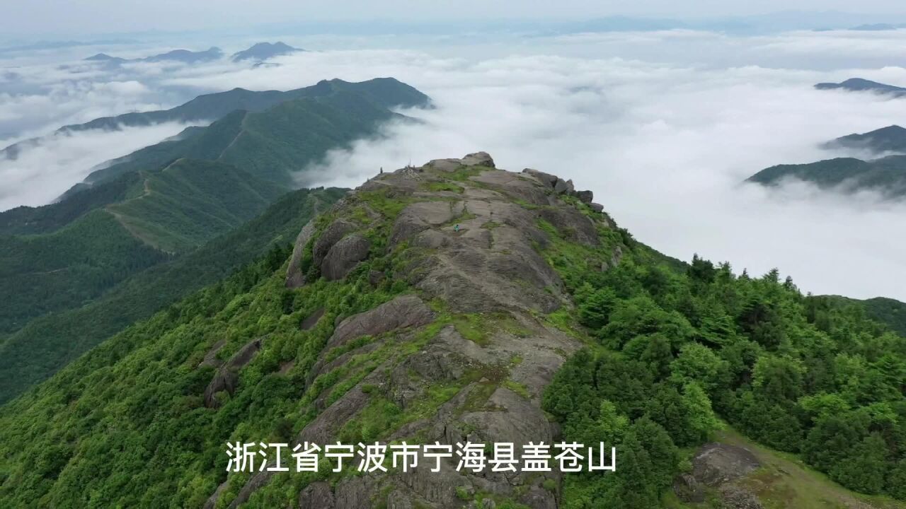 苍山之麓,沥水之阳,好山好水出美酒,宁波酒力洋烧