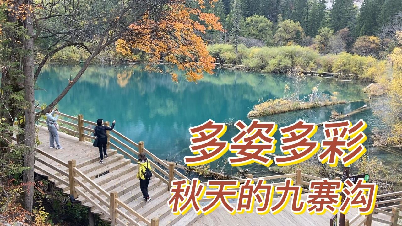 一人一车周游中国旅行日记39,终于进到九寨沟景区,秋天的九寨沟太美了,不虚此行