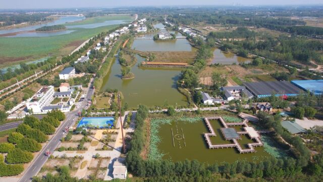 河南民权湿地公园美景随拍