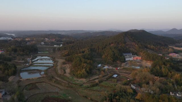 回山顾主伏虎形,王君植风水大师带你看如画般的山水大地