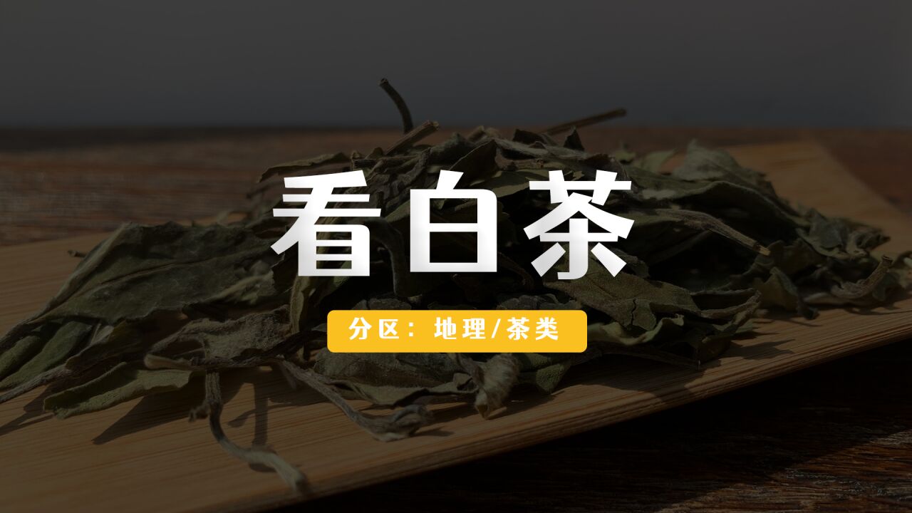 不同年份的白茶,应该是什么颜色?全解白茶的「白黄绿红褐」.