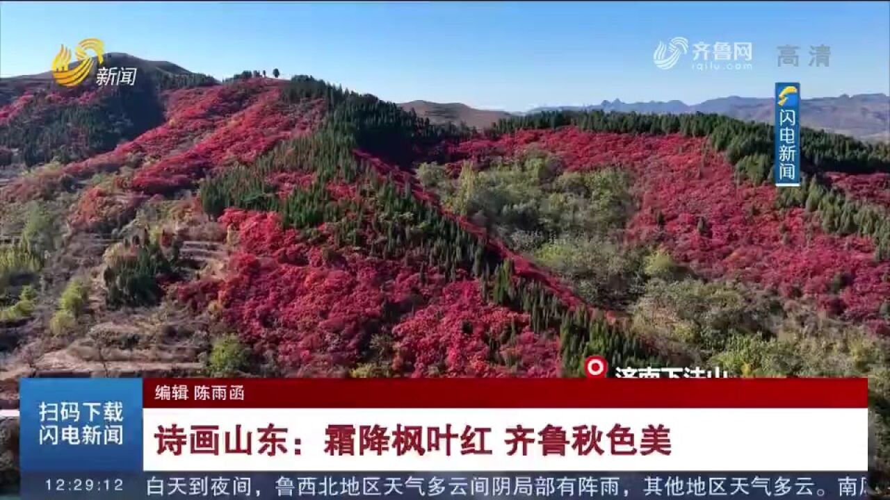 层林尽染秋意浓!齐鲁大地秋日美景醉游人,漫山红叶灿烂如霞