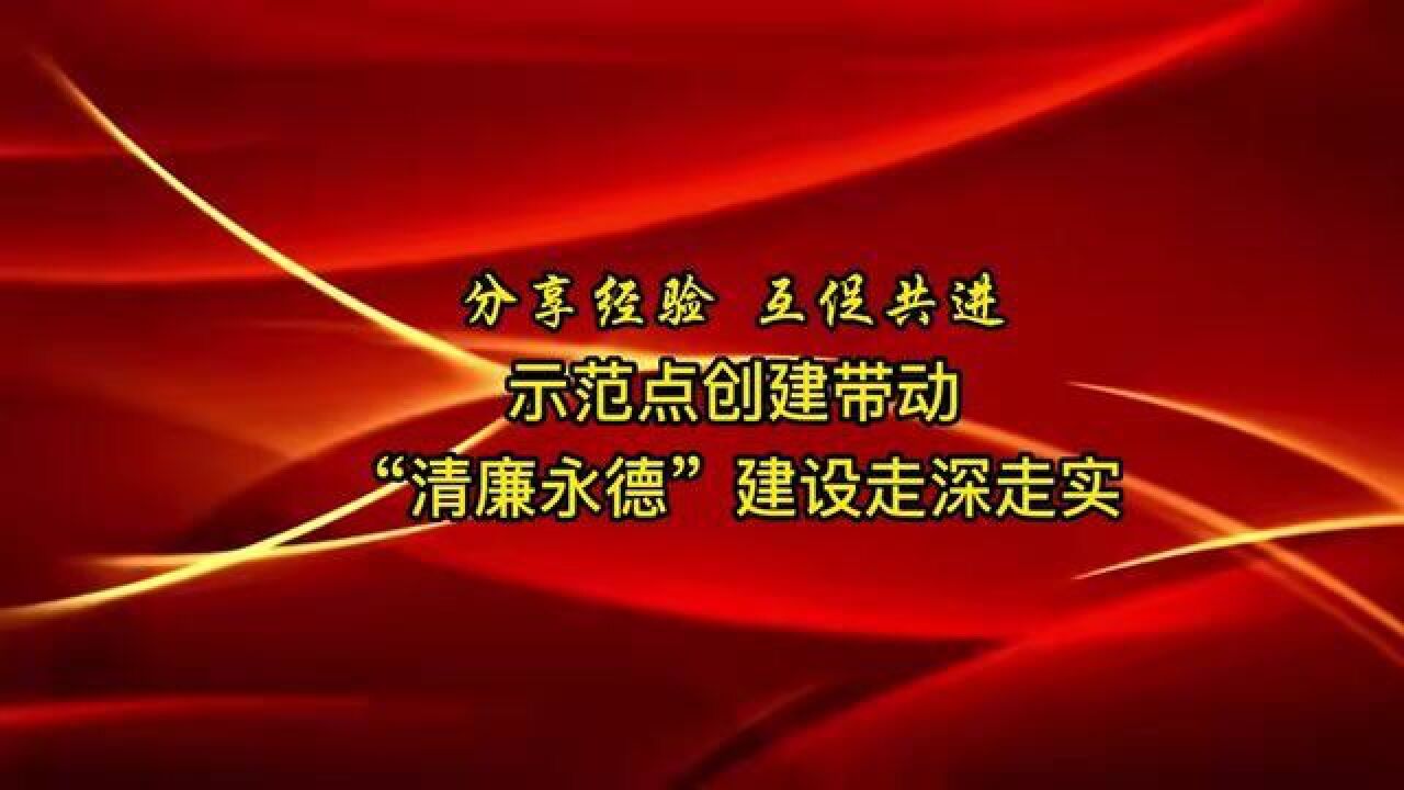 分享经验 互促共进 示范点创建带动“清廉永德”建设走深走实