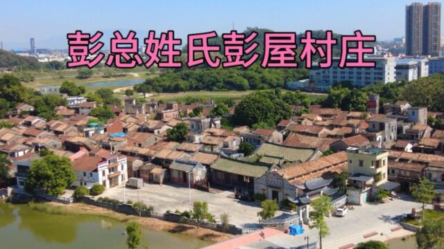 东莞市东坑镇彭德怀彭氏村庄,这里风景优美向日葵花海拍照非常美