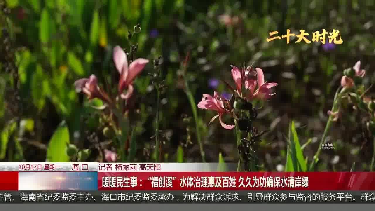 暖暖民生事:“福创溪”水体治理惠及百姓 久久为功确保水清岸绿