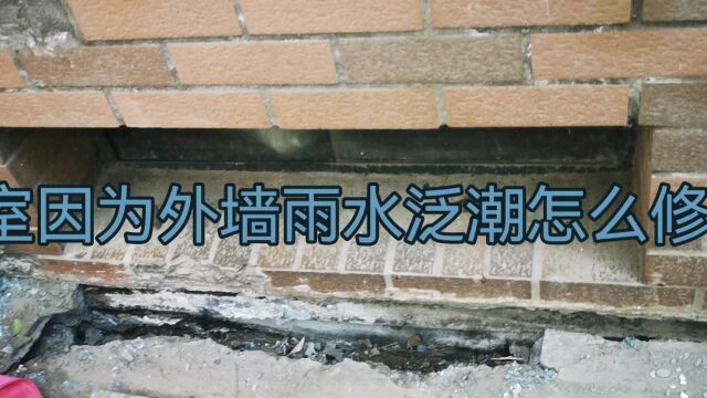 地下室泛潮因为外墙渗水