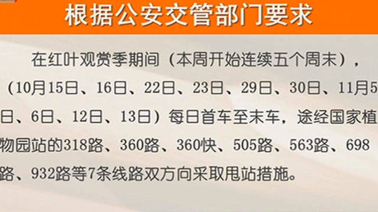 金秋十月,红叶观赏季来临,北京公交途径国家植物园站7条线路甩站