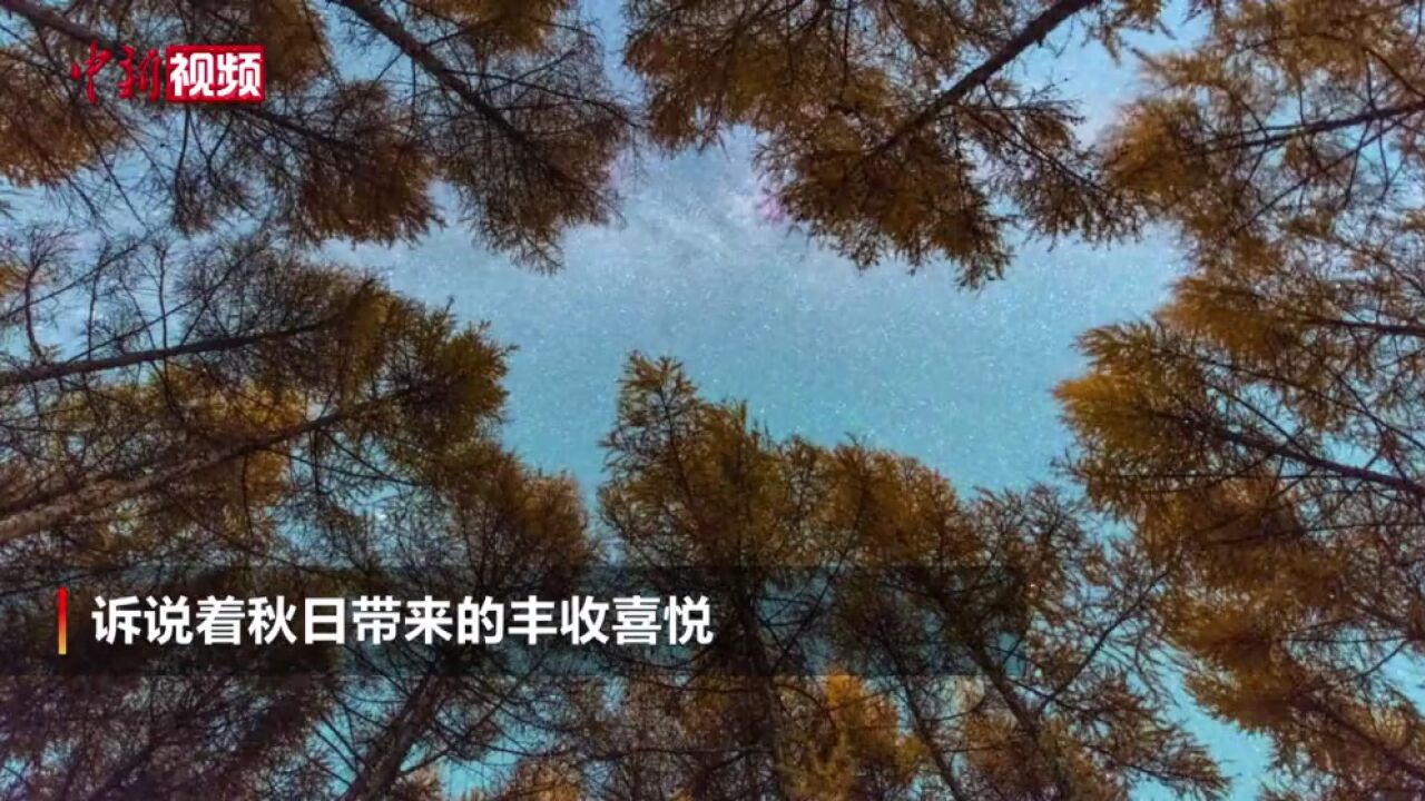 延时摄影记录浪漫秋天