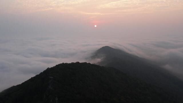 日出钟山,金陵云起.如果你见过这样的时刻,你会忘掉所有不愉快.#日出云海 #紫金山日出