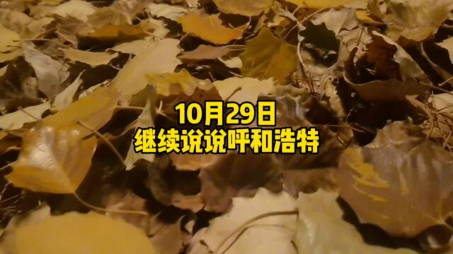 10月29日,呼和浩特下雨了,说两个大家关心的问题