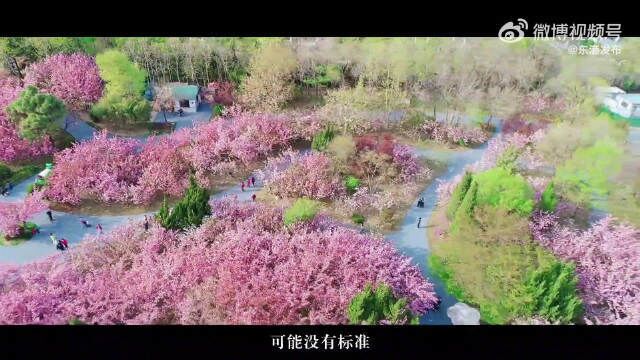 好客山东好品山东 日照东港区:建设成为碧水蓝天、绿色低碳、和谐宜居的生态港城.这十年,空气质量整体大幅改善,“东港蓝