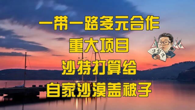 花千芳:一带一路多元合作重大项目,沙特打算给自家沙漠盖被子