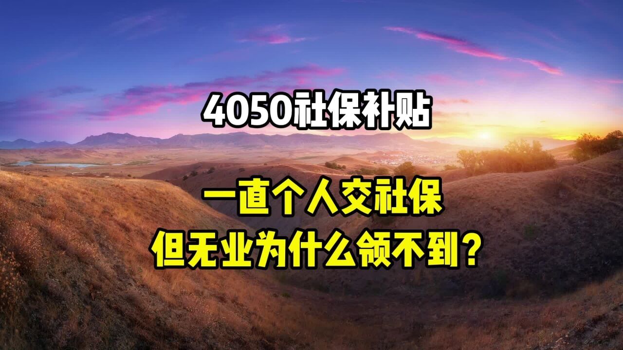 4050社保补贴,一直个人交社保但无业的人,为什么领不了?