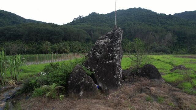 保亭甘什岭村,有一个神奇的青蛙石,相传当地庄稼无虫害!