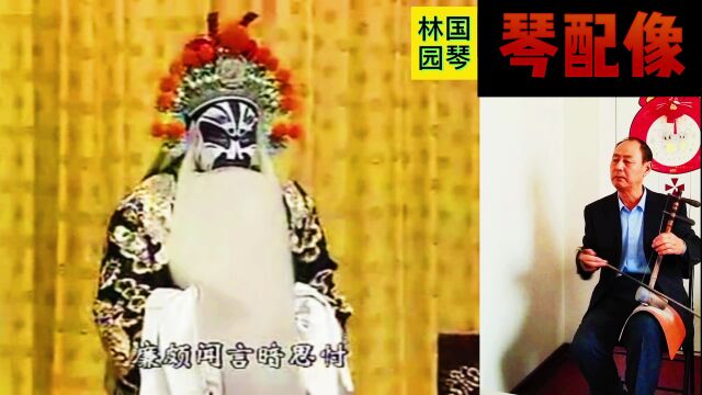 琴配像《将相和》选段:廉颇闻言暗思忖