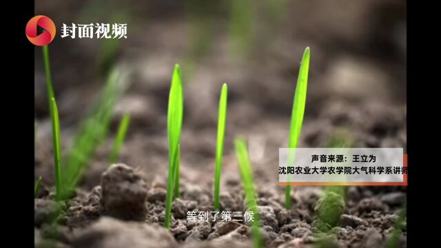 立冬有三候:水始冰、地始冻、雉入大水为蜃|民俗日历ⷤ𚌥四节气