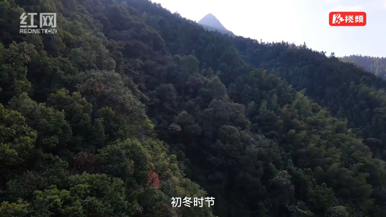 江永县源口瑶族乡:绿水青山倒影如画