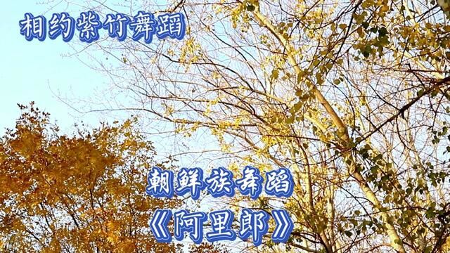 相约紫竹舞蹈《阿里郎》原创金仙花演绎兰卿2022.11.17朝阳公园 #落叶知秋 #朝鲜族舞蹈 #原创舞蹈