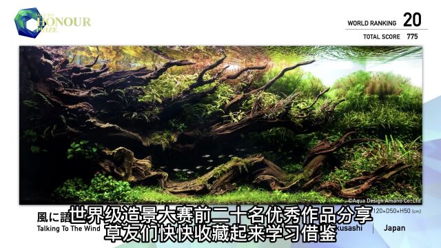 世界级造景大赛优秀作品