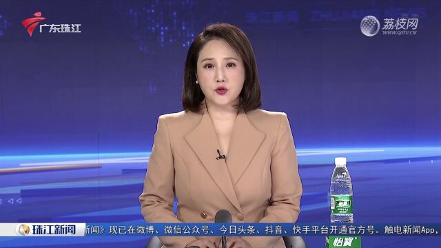 中山港截获全球首次报道的新物种蟑螂