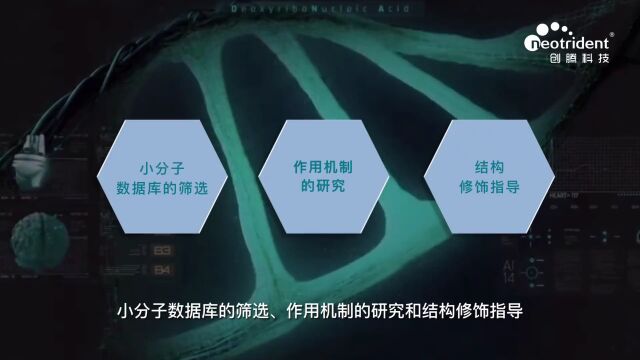 教程丨如何利用分子对接工作流,研究配体受体间相互作用?