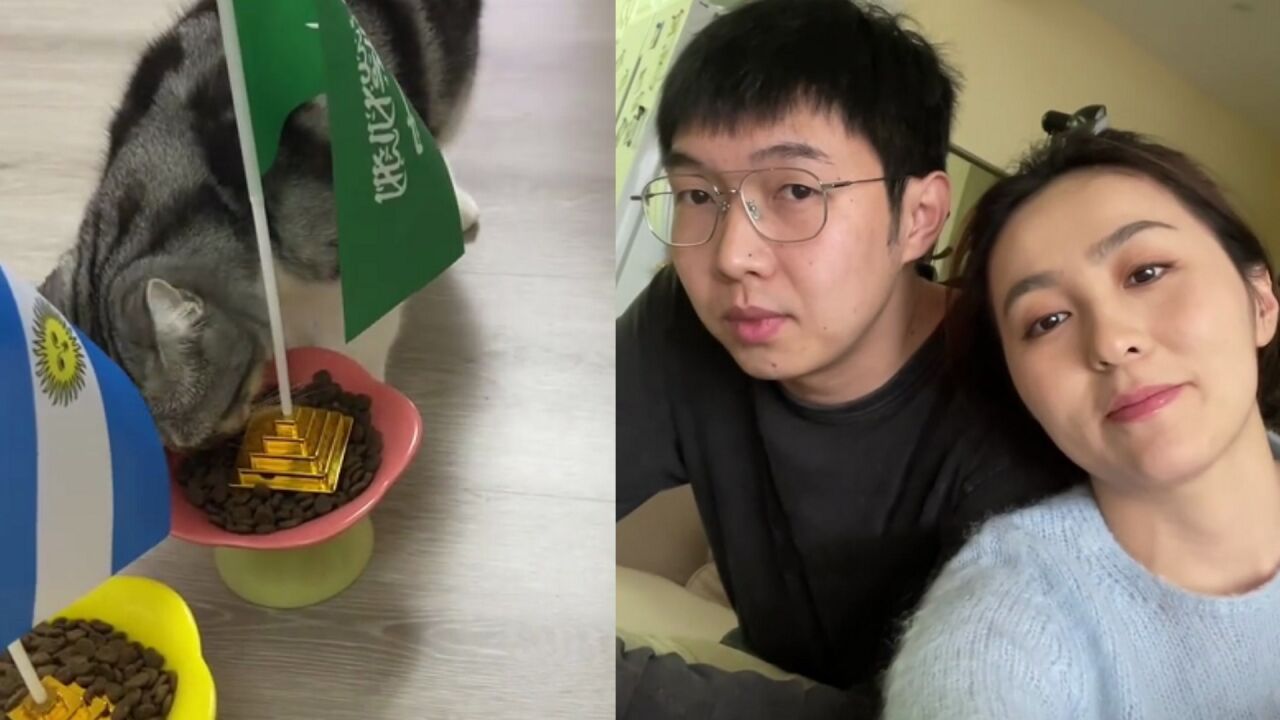 杨蒙恩的猫立功了!精准预测世界杯沙特胜阿根廷,脱口秀素材有了