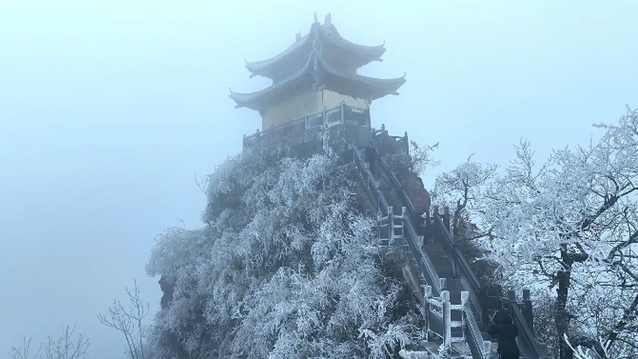 “玉树银花”悄然开!怀化靖州飞山迎来今冬首场雾凇