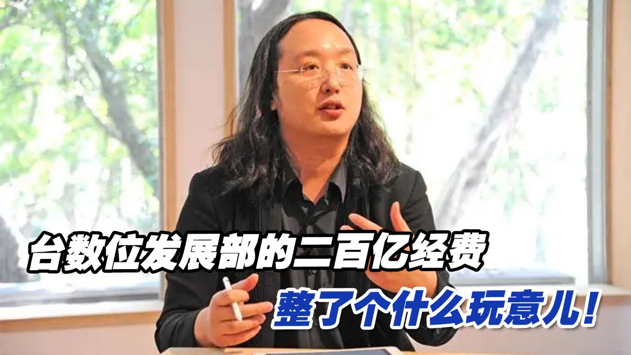 台数位发展部门“不务正业”,两百亿经费就建了这么个玩意儿?