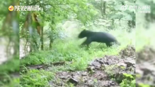 山晚早新闻丨太原市19个高风险区调整为低风险区;五台山机场新航线开通;钟南山预计明年上半年能恢复到疫情前;世界杯四强诞生