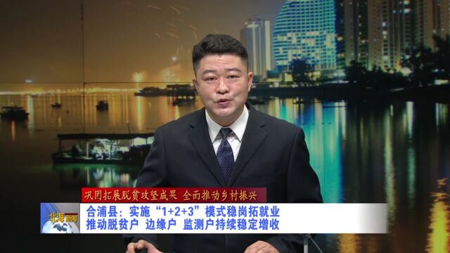 合浦县:实施“1+2+3”模式稳岗拓就业