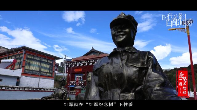 《交纳村的“红军树”》|“时代光影 百部川扬”文旅之乐优秀参赛作品