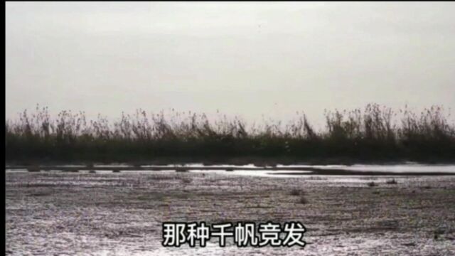 黄盖湖湿地公园