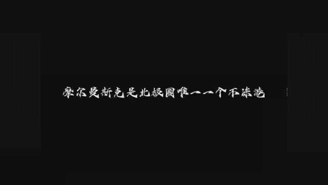 我真的好爱这段话啊!!“摩尔曼斯克是北极圈唯一一个不冻港.”“乐知时是宋煜的唯一过敏原.” #可爱过敏原 #宋煜乐知时 #稚楚