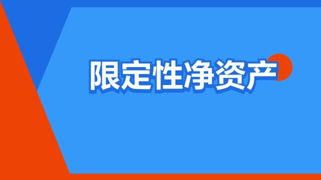 “限定性净资产”是什么意思?