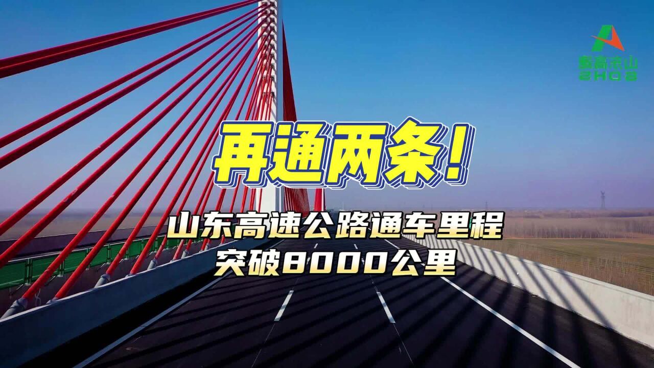 视频丨山东高速公路通车里程超8000公里