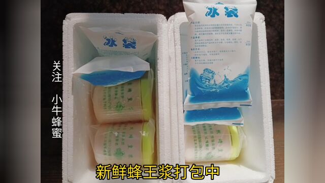 纯天然蜂王浆怎么吃蜂王浆多少钱一斤价格推荐女人食用蜂王浆的作用与功效#蜂王浆 #蜂胶 #蜂蜜 关注小牛蜂蜜了解更多蜂知识.