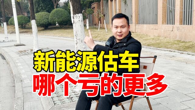 特斯拉降价影响大吗?路边估车,看哪个新能源亏更多