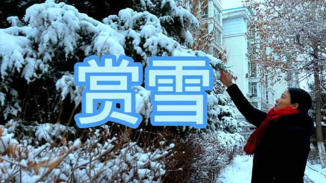 大雪过后,独自一人踏雪赏景