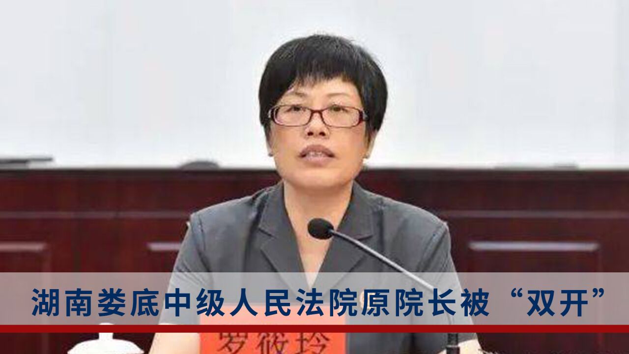 “60后”的法院女院长被双开:多次在公开场合谈廉洁