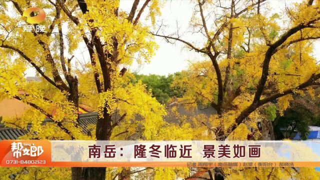 (云赏景)湘西泸溪:沅水十里长廊玉树琼枝绿肥红瘦