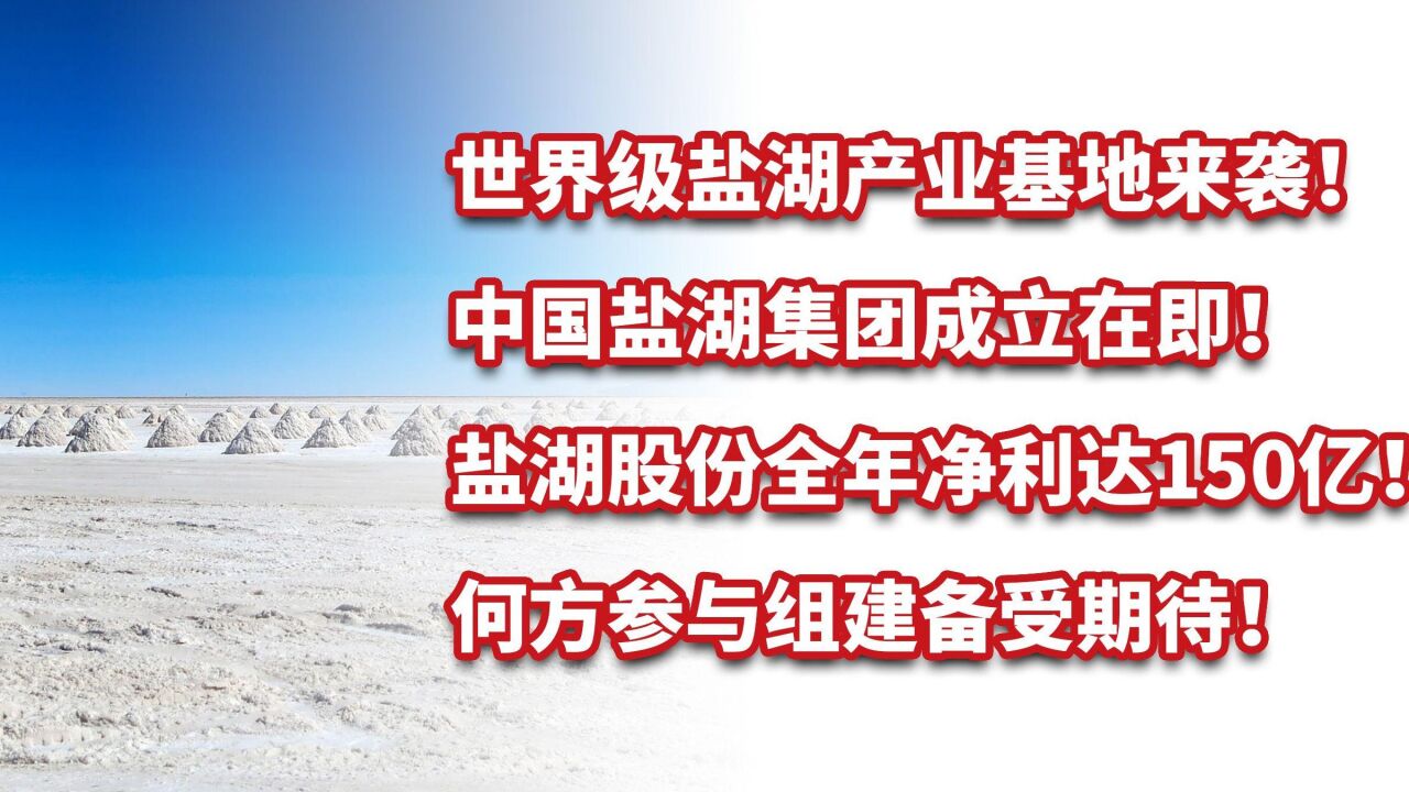 打造世界级盐湖产业基地!何方参与中国盐湖集团组建备受期待!