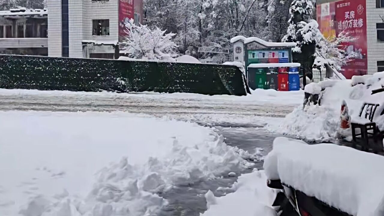 湖北咸宁、黄石等多地发布暴雪黄色预警,出行请注意!