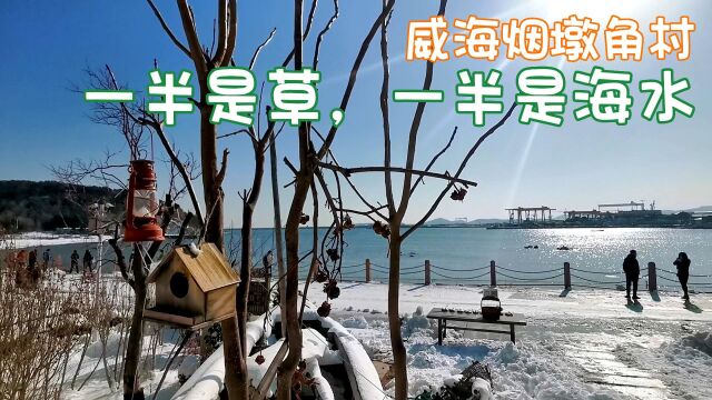 威海烟墩角村,家家海草房,大天鹅陪伴老百姓过乡情市井生活